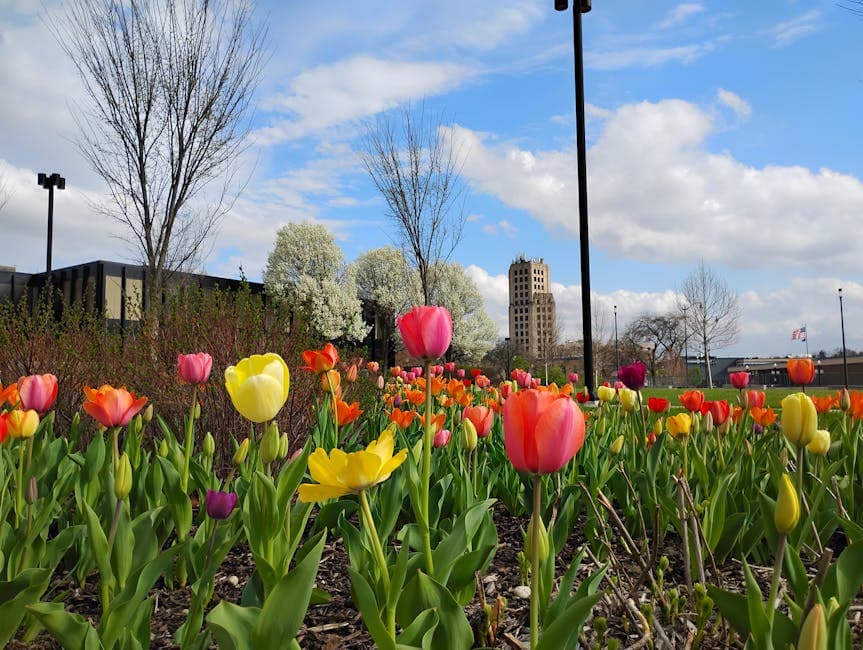 Ann Arbor, Michigan: tree-lined campus and downtown streets with the University of Michigan in the background