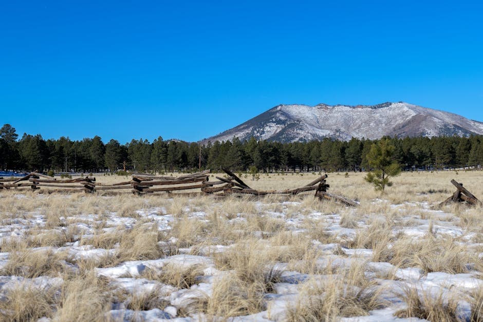 Flagstaff, Arizona at seven thousand feet, with the snow-capped San Francisco Peaks rising on the northern horizon and the Historic Route 66 corridor running through Downtown.
