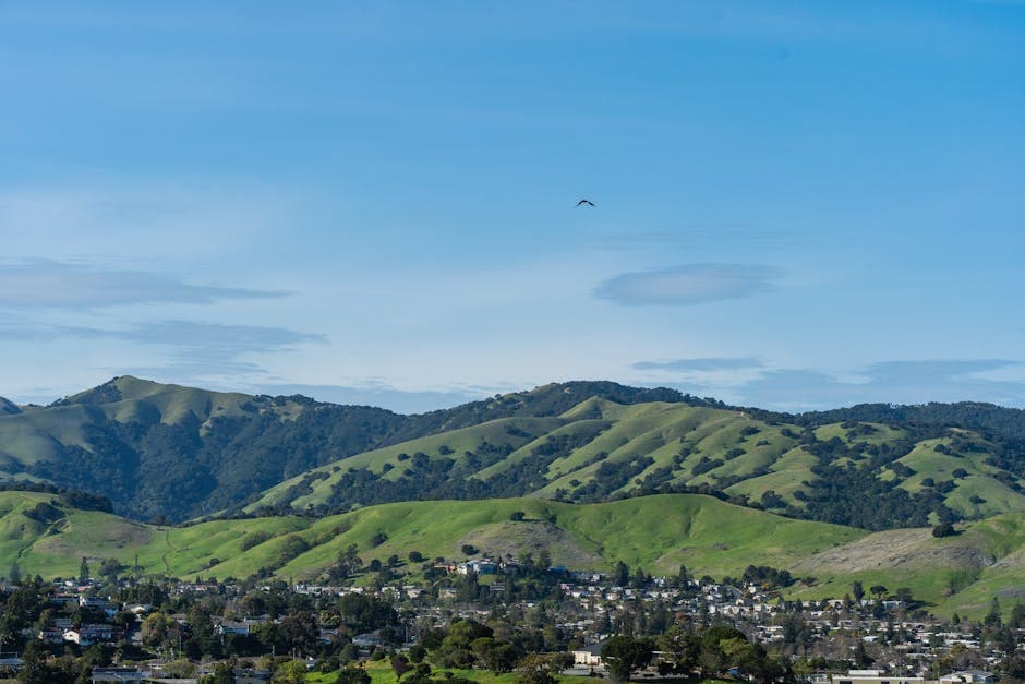 Fremont, California