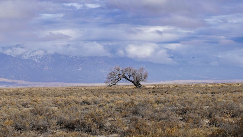 Lone Tree, Colorado streetscape near Park Meadows mall with the Charles Schwab Denver campus visible in the corporate corridor and the front range in the distance
