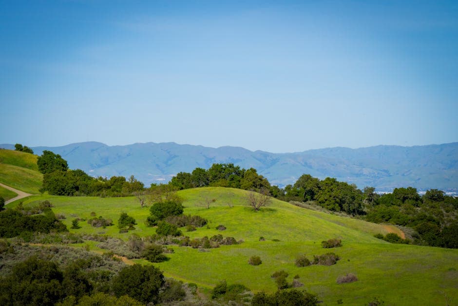 Santa Clara, California