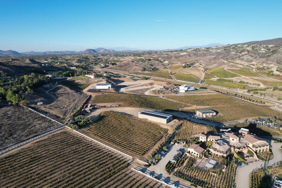 Temecula Valley wine country at golden hour with rows of vines, oak hills, and a hot-air balloon rising over the De Portola benchland