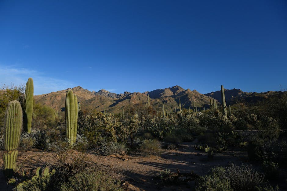 Tucson, Arizona